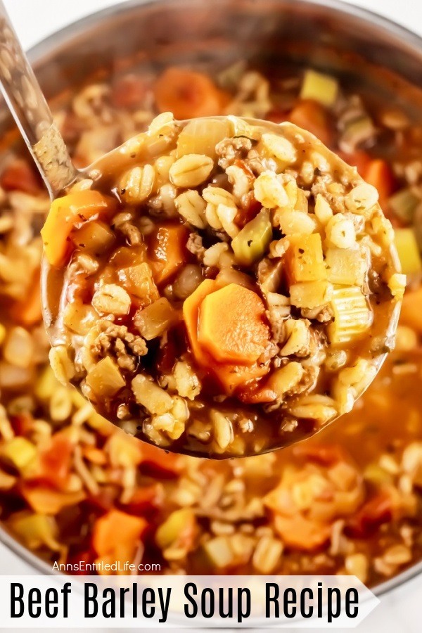 A laddle filled with beef barley soup is being lifted from the soup pot below it