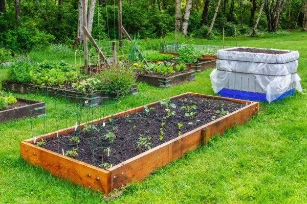 10 Creative Home Gardening Ideas. You can have a creative garden regardless of whether if you live in the country, city, or in a small apartment. These creative home gardening ideas are small and large, inexpensive and grand, but above all they are soothing, fun, interesting, and doable for the average homeowner.