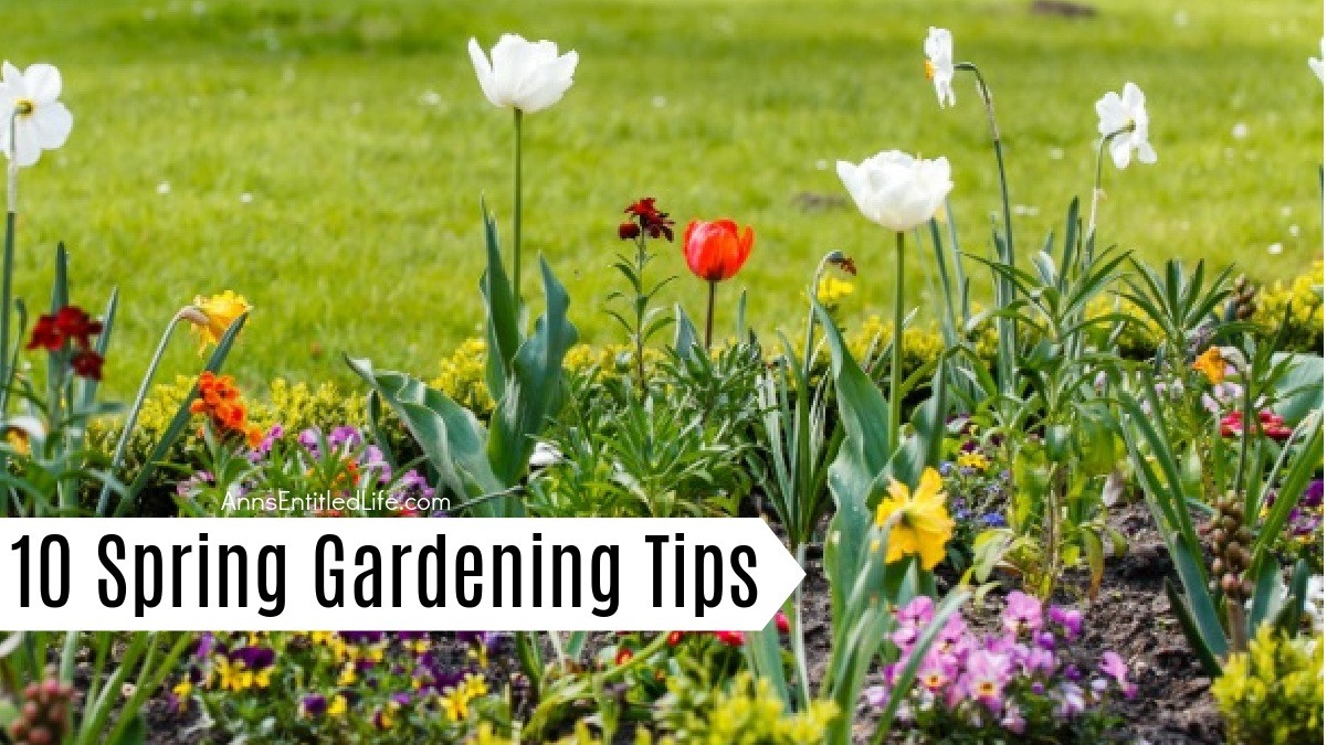 10 Spring Gardening Tips