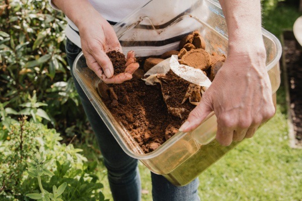 7 Things to Add to Your Tomato Planting Hole. Tomatoes are the pride of your vegetable garden. To ensure healthy plants that will generate a great tomato harvest at the end of the growing season, use these tips of 7 things to add to your tomato planting hole and give your tomatoes a great start on a spectacular growing season and bountiful harvest!