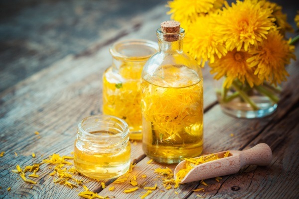 10 Fabulous Uses for Dandelions. Many people call them weeds but dandelions are actually a valuable herb to have around. People have relied on the powers of dandelions for eons as many find out exactly what these little yellow blooms and their foliage have to offer. If you want to use dandelions for good purposes instead of just tossing treating them as trash, take a look below at these 10 fabulous uses for dandelions. You will find that dandelions are worth their weight in gold and can be a valuable asset to your household.