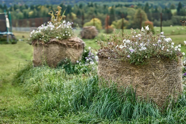 How to Straw Bale Garden. Detailed instructions on how to get started with straw bale gardening in your home gardens for the beginner. Pros and cons, as well as the differences between hay bale gardening and straw bale gardening.