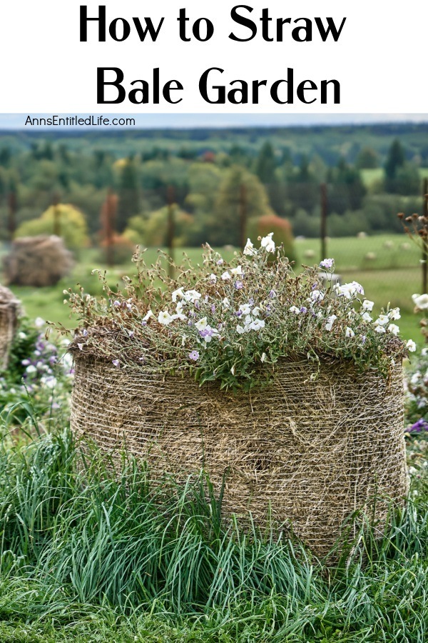 flowers growing out of a rolled straw bale