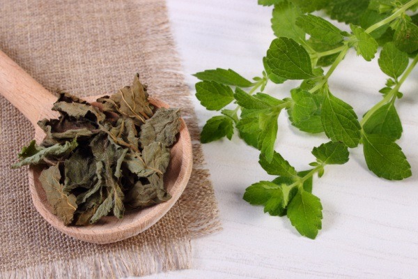 Why You Need Lemon Balm In Your Garden. Uses for lemon balm in your home, garden, beauty routine, cooking, and baking - as well as lemon balm recipes, and why you need lemon balm in your garden.