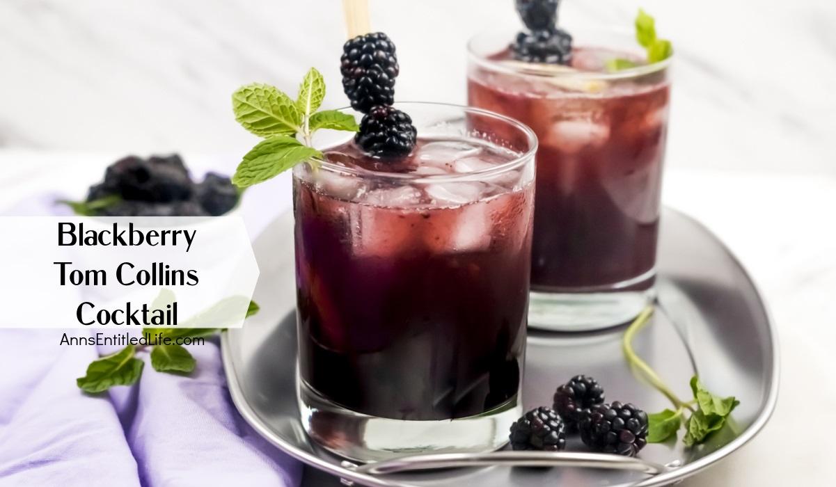 Blackberry Tom Collins Cocktail