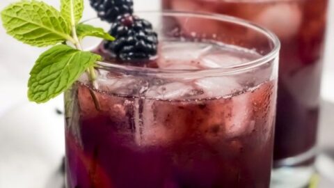 Blackberry Tom Collins Cocktail