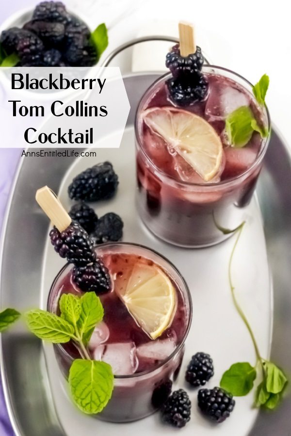 Overhead view of two blackberry Tom Collins garnished with blackberries, mint, and lemons set upon a silver tray