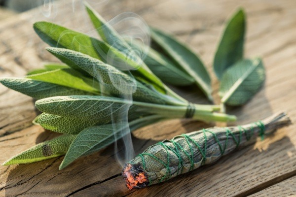 How to Use Sage. Sage is a great herb to grow in your garden. While this herb is well known for smoke cleansing, sage has many more uses than just for smudging and cleansing. If you are looking for new and different ways to use sage, check out this great list of creative ways to use sage in your home.