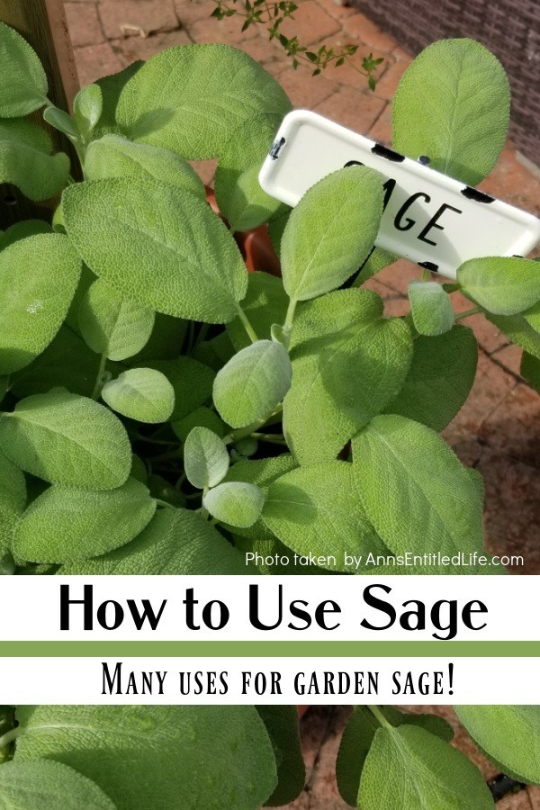 A pot of sage growing at the bottom of an herb tower