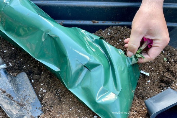 How to Plant and Care for Hanging Flower Bags