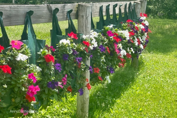 How to Make Hanging Flower Bags. Want to dress up your outdoor living area for less? Make your own hanging flower pouches using the instructions in this complete guide. Using your favorite flowers that drape, these easy-to-make flower bags are perfect for deck railings, deck posts, lamp posts, hanging basket hooks, or even to decorate your mailbox! This terrific vertical flower bag allows you to bring a garden anywhere.