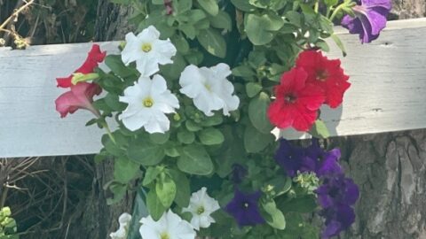 How to Make Hanging Flower Bags