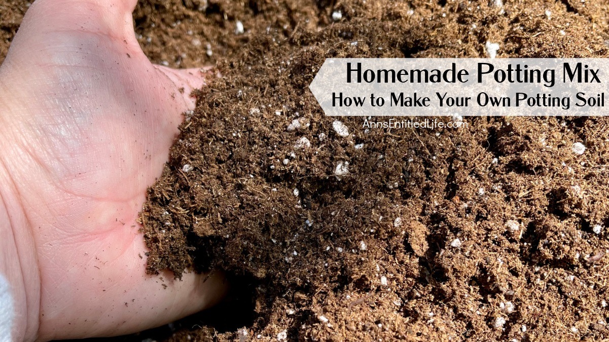 How to make your own potting mix / RHS Gardening