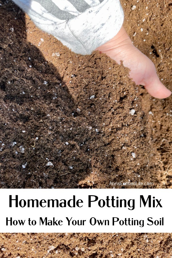 a hand scooping up some potting soil