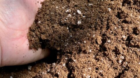 Homemade Potting Mix | How to Make Your Own Potting Soil