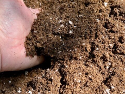 Homemade Potting Mix | How to Make Your Own Potting Soil