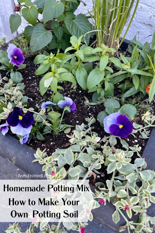 a pot filled with potting soil growing vinca, pansies, and other flowering plants not yet bloomed