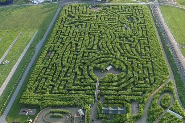 New York State Corn Mazes List 2021. Have some great outdoor family fun this fall at a New York State corn maze!! Whether you are looking to spend the day in a corn maze, for a fright night scream, or corn mazes by moonlight, there is something for everyone on this list of 2021 New York State Corn Mazes!