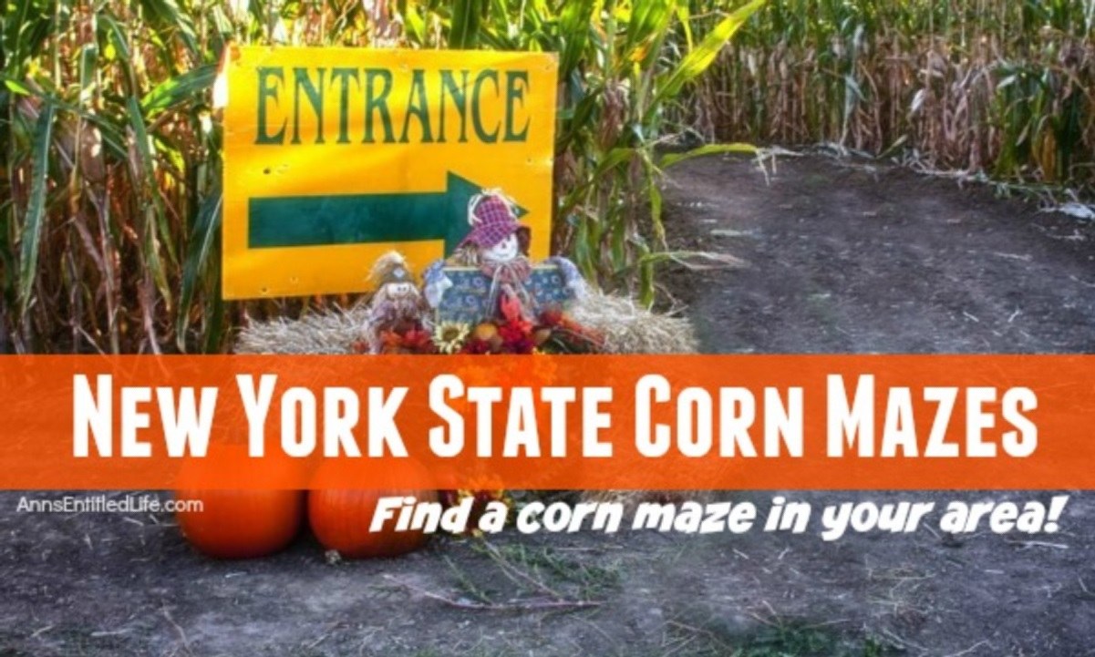 2021 New York State Corn Mazes List