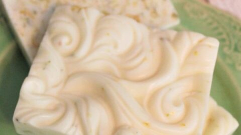 Homemade Citrus Soap Bars Recipe