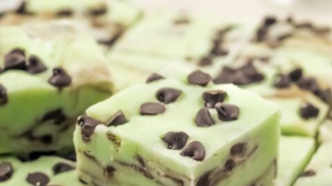 Mint Chocolate Chip Fudge Recipe