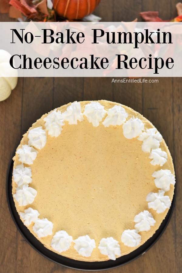 Overhead view of a whole no-bake pumpkin cheesecake decorated with star-tip whipped cream at the edges.