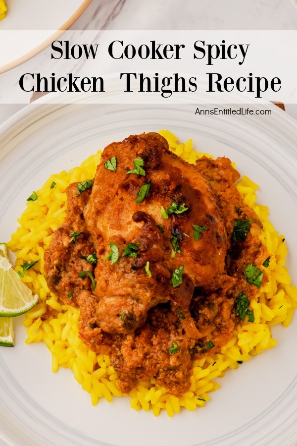 Overhead shot of a spicy chicken thigh on a bed of yellow rice on a white plate