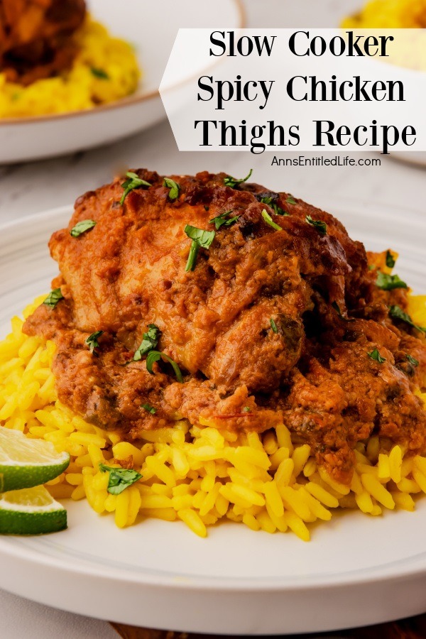 Up close side-view image of a spicy chicken thigh on a bed of yellow rice on a white plate