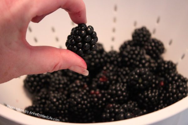 Blackberry Refrigerator Jam Recipe