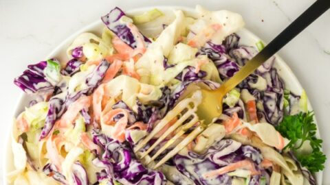 Homemade Creamy Coleslaw Recipe