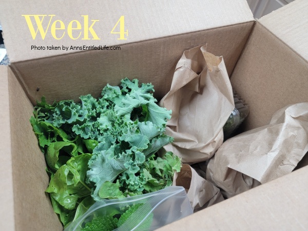 2023 CSA Weeks 1-5. This is a listing of the first five weeks of our 2023 Community Supported Agriculture, in northwest Florida. This is locally sourced, locally grown farm fruits, vegetables, herbs, and flowers delivered weekly to our front door. What is in the box depends upon what is ready for harvest. Weather conditions have a hand in what we receive weekly.