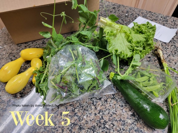 2023 CSA Weeks 1-5. This is a listing of the first five weeks of our 2023 Community Supported Agriculture, in northwest Florida. This is locally sourced, locally grown farm fruits, vegetables, herbs, and flowers delivered weekly to our front door. What is in the box depends upon what is ready for harvest. Weather conditions have a hand in what we receive weekly.