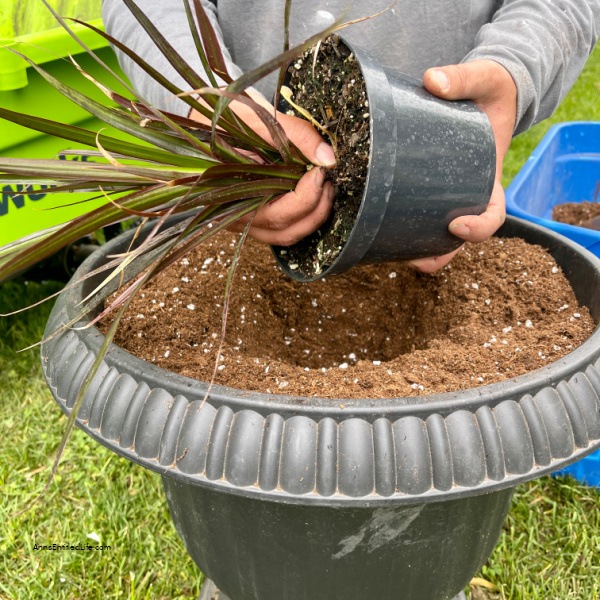 How to Make Beautiful Flower Pots at Home | Easy Plant Steps. Making flower pots at home is a fun and creative way to spruce up your garden or patio. With just a few simple flowers and materials, you can create beautiful and unique flower pots that will add charm to any outdoor space. In this article, you will be shown how to make flower pots at home with step-by-step instructions, so you can start creating your own unique flower planters today!