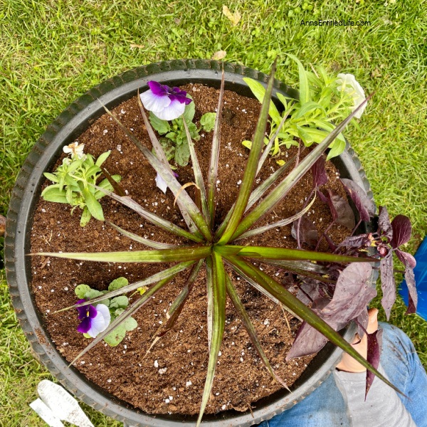 How to Make Beautiful Flower Pots at Home | Easy Plant Steps. Making flower pots at home is a fun and creative way to spruce up your garden or patio. With just a few simple flowers and materials, you can create beautiful and unique flower pots that will add charm to any outdoor space. In this article, you will be shown how to make flower pots at home with step-by-step instructions, so you can start creating your own unique flower planters today!