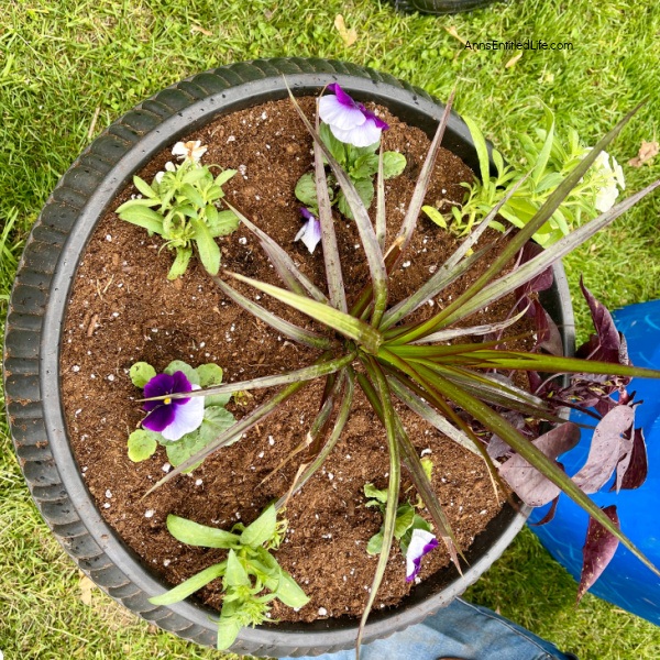 How to Make Beautiful Flower Pots at Home | Easy Plant Steps. Making flower pots at home is a fun and creative way to spruce up your garden or patio. With just a few simple flowers and materials, you can create beautiful and unique flower pots that will add charm to any outdoor space. In this article, you will be shown how to make flower pots at home with step-by-step instructions, so you can start creating your own unique flower planters today!