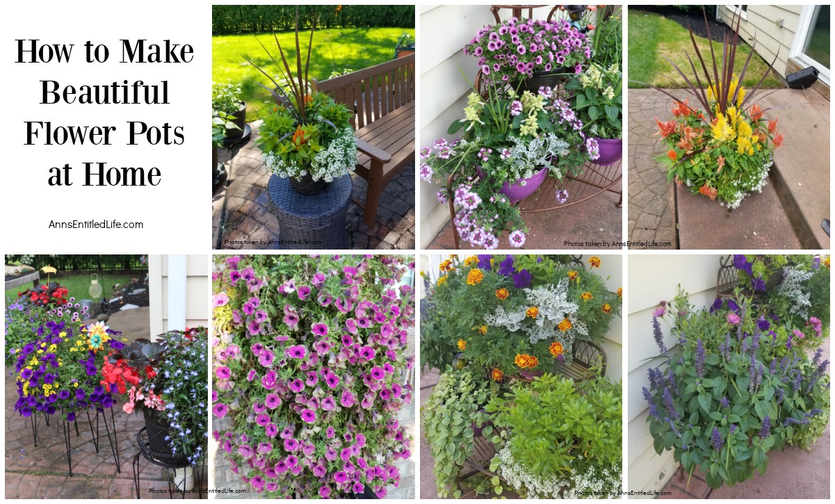 How to Make Beautiful Flower Pots at Home Easy Plant Steps
