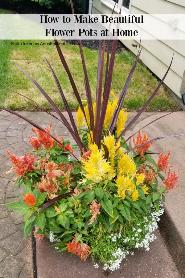 a planter filler with flowers, spike, and spillers on a patio step