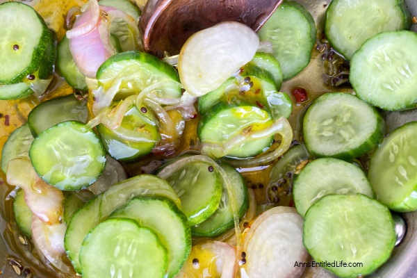 Refrigerator Bread and Butter Pickles Recipe | Easy & Quick. Discover a mouthwatering recipe for homemade refrigerator bread and butter pickles. Learn how to make easy and crispy pickles with this step-by-step guide. Perfect for sandwiches, burgers, and snacks.