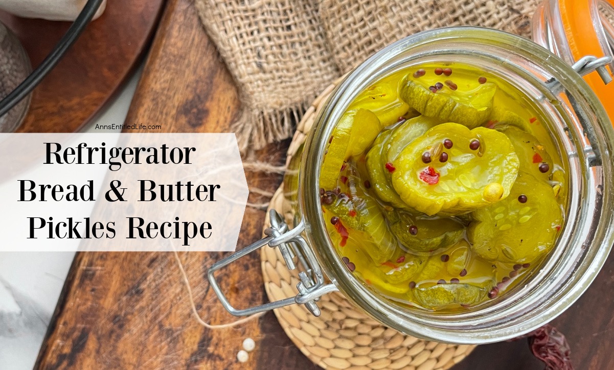 Refrigerator Bread and Butter Pickles Recipe Easy & Quick