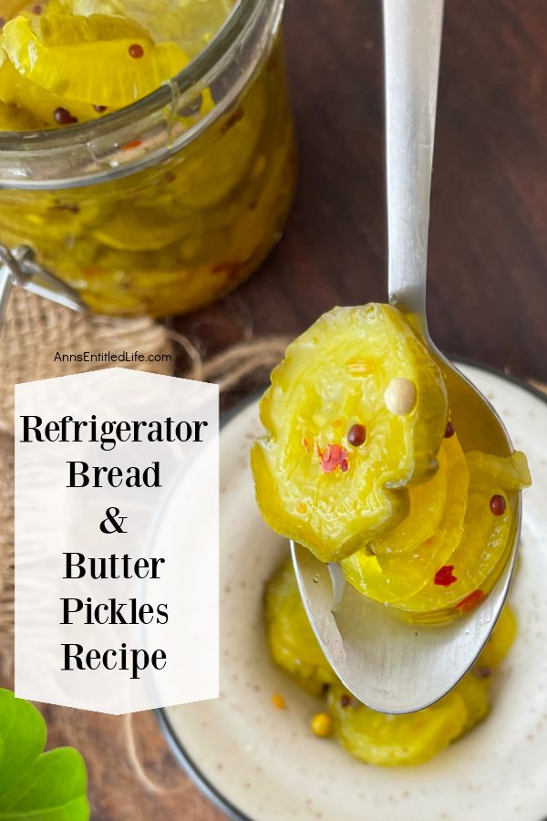 Homemade bread and butter pickles on a spoon in the front of the photo, the rest of the jar is in the upper left