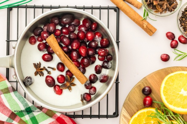 Festive Winter Cranberry Spritz Aperol Recipe. Enjoy the holiday season's flavors with this refreshing winter cranberry spritz Aperol beverage. This is a perfect blend of flavors for a festive winter cocktail. Cheers!