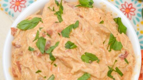 Easy Slow Cooker Queso Chicken Recipe | Great for Tacos