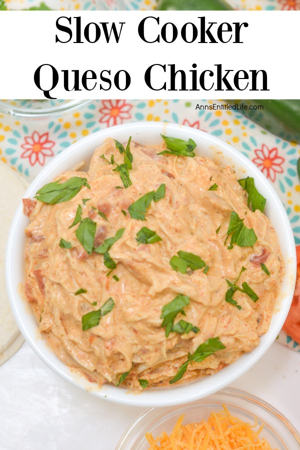A white bowl filled with slow cooker queso chicken.