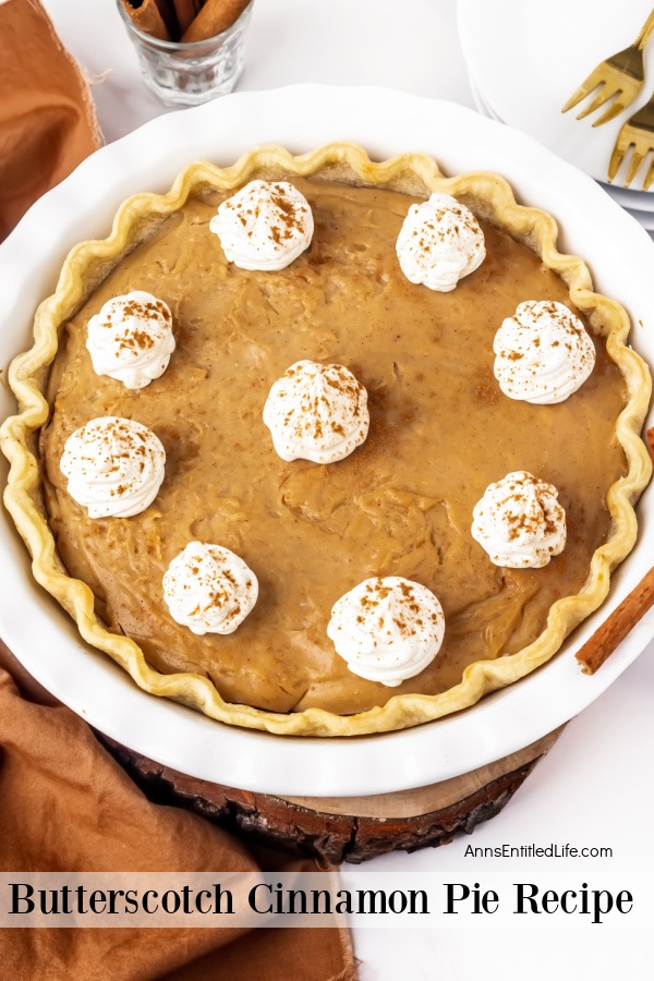 Overhead view of a butterscotch cinnamon pie