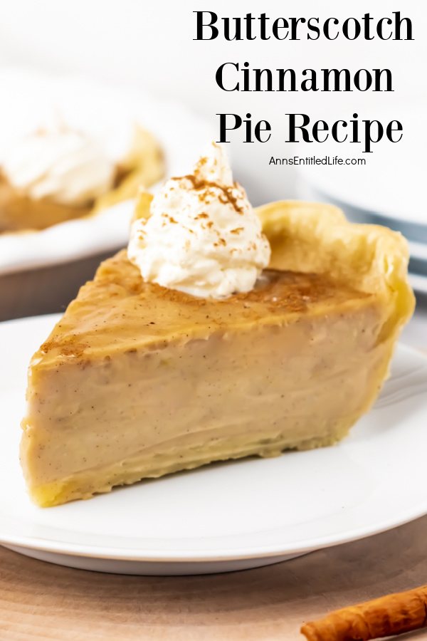 Profile view of a slice of butterscotch cinnamon pie on a white plate