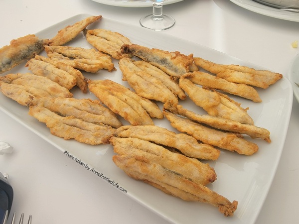 Six Weeks Traveling in Spain. My husband and I explored Spain for six weeks and enjoyed some must-see attractions and local cuisine. Join me as I recap this unforgettable Spanish adventure.
