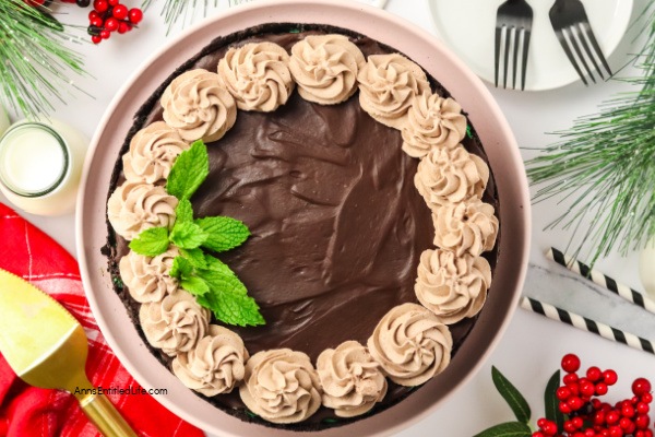 No-Bake Chocolate Mint Cheesecake Recipe | Easy & Delicious. Try this easy no-bake chocolate mint cheesecake recipe! Creamy, rich, and refreshing with a perfect blend of chocolate and mint. Ideal for any occasion. Make it today!