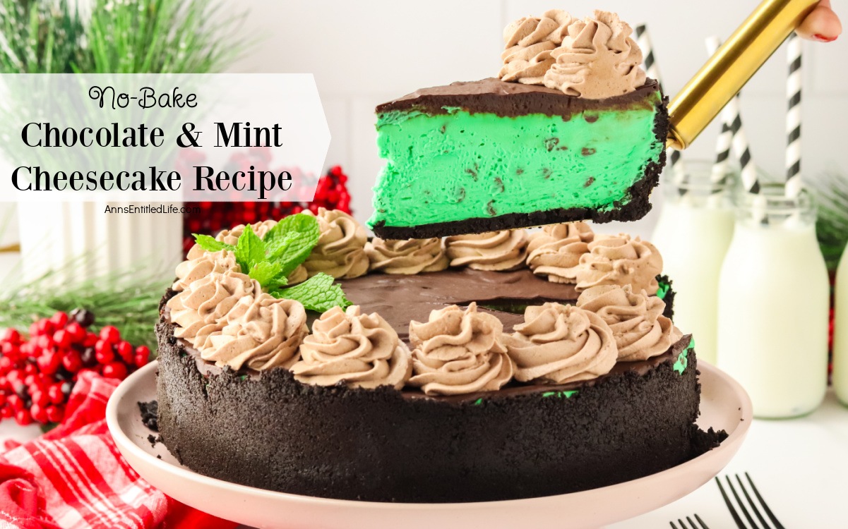 InLinkz 388 Senior Salon Pit Stop