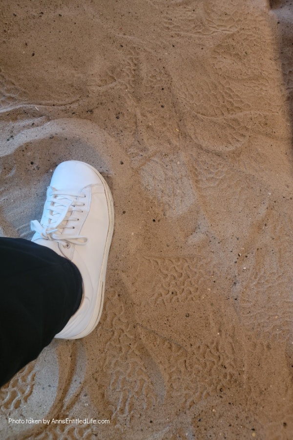 Our Scandinavian Adventure. My husband and I went on an 11 night Scandinavian cruise with my mother and my aunt. Join me as I recap our Scandinavian adventure.