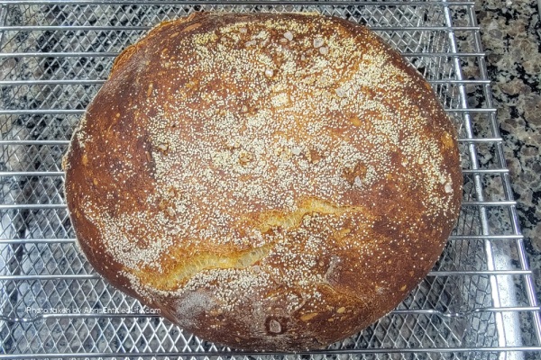 Easy Rustic Rye Bread Recipe | No-Knead. Bake a hearty, crusty rye bread at home with this easy rustic recipe. Perfect for beginners, this loaf delivers bold flavor and old-world charm with every slice.